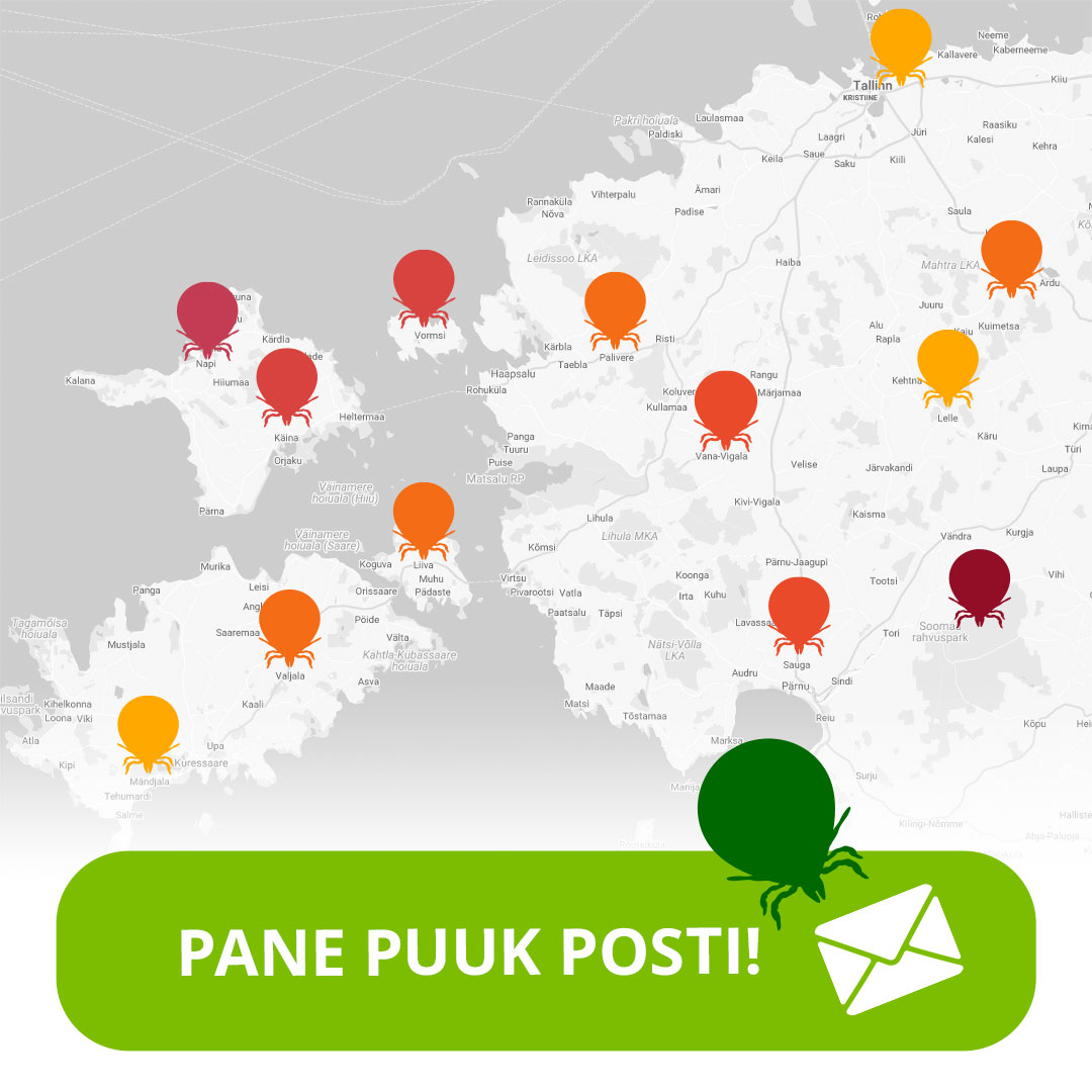 pane puuk posti