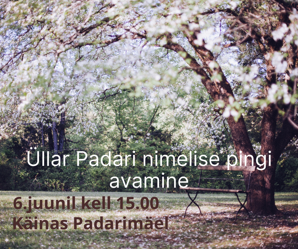 Üllar Padari pink