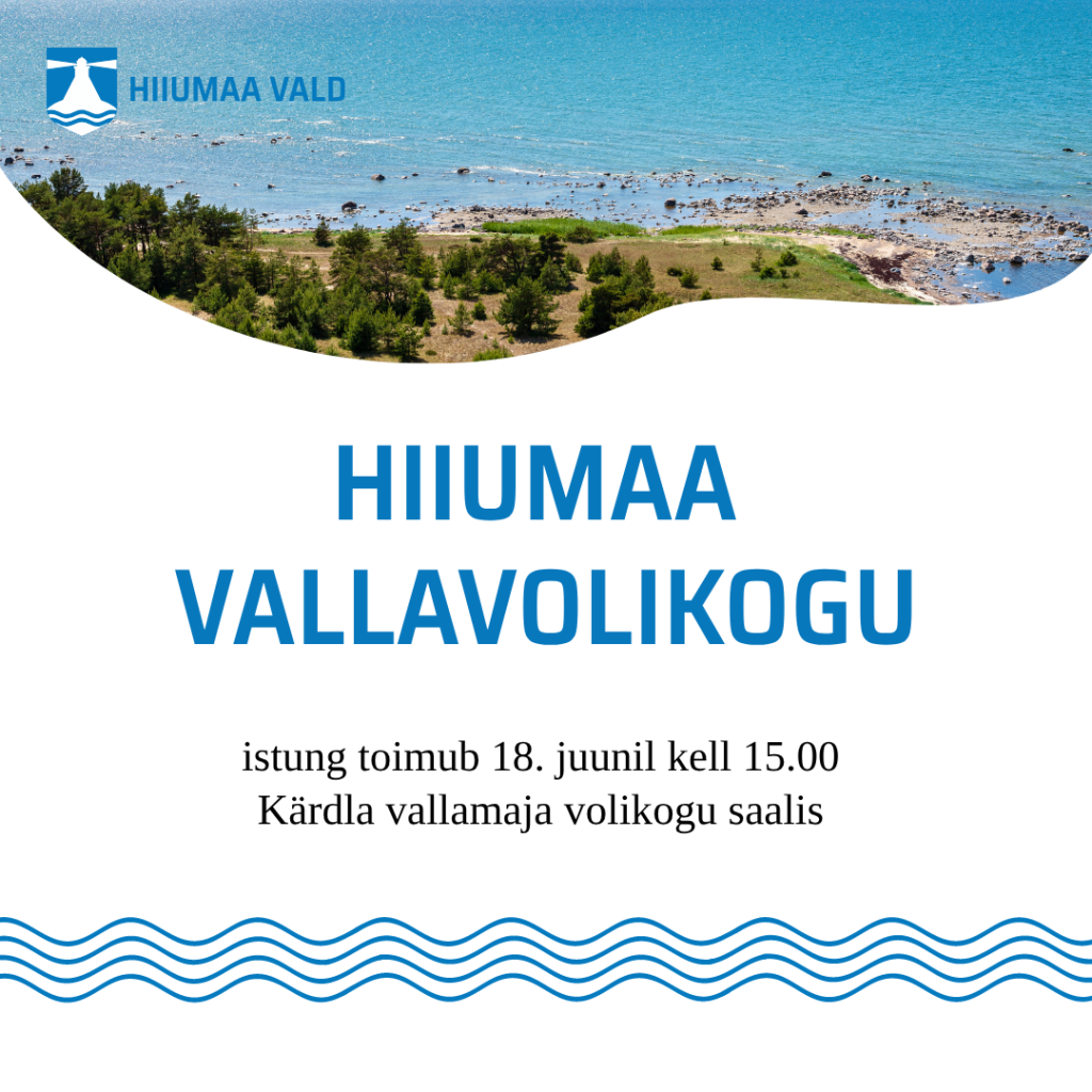 Vallavolikogu istung (6).png