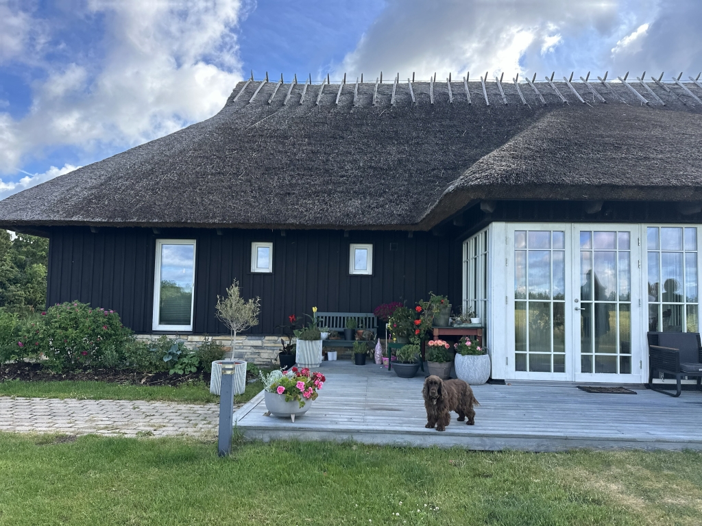 Perekond Johanseni kodu Orjakus 