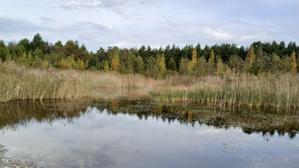 Tilga karjäär