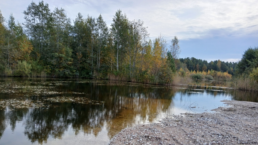 Tilga karjäär