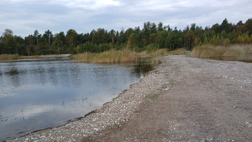 Tilga karjäär
