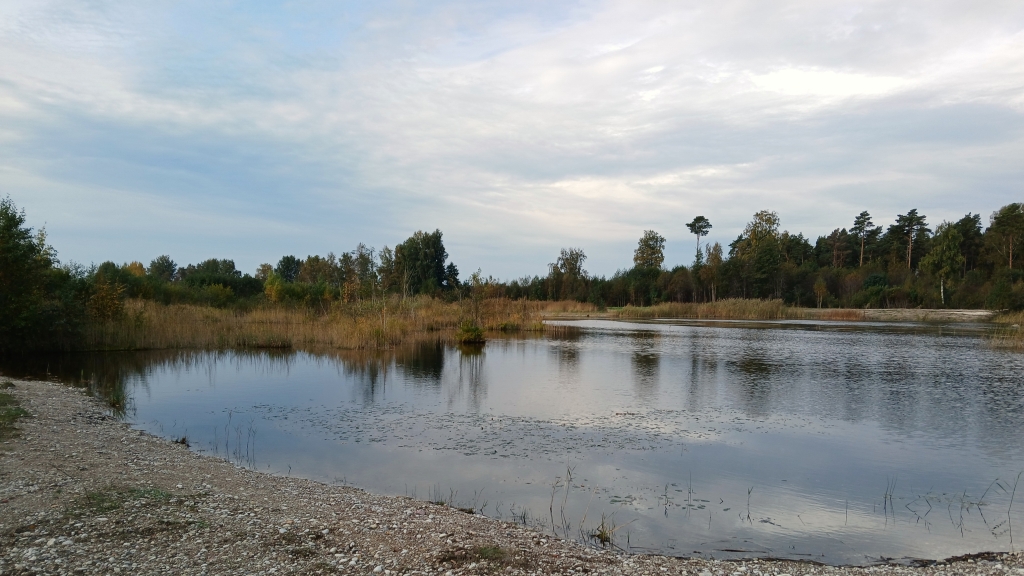 Tilga karjäär